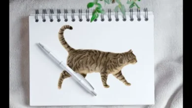 drawing:a4z_-ymtkr8= cat