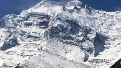 Sherpa-Led Expeditions  Your Complete Guide to the Annapurna Base Camp Trek